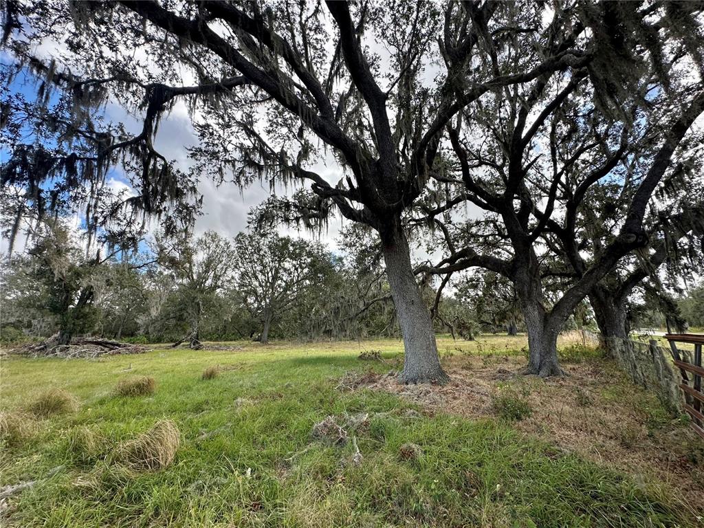 Large oak trees with Spanish moss stand in a grassy field next to a fence — 0 POLK ROAD, WAUCHULA, FL