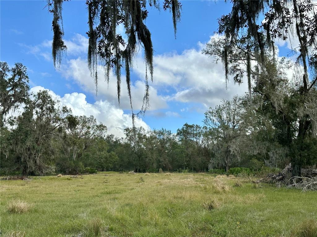 A grassy field is bordered by a line of trees draped in Spanish moss — 0 POLK ROAD, WAUCHULA, FL