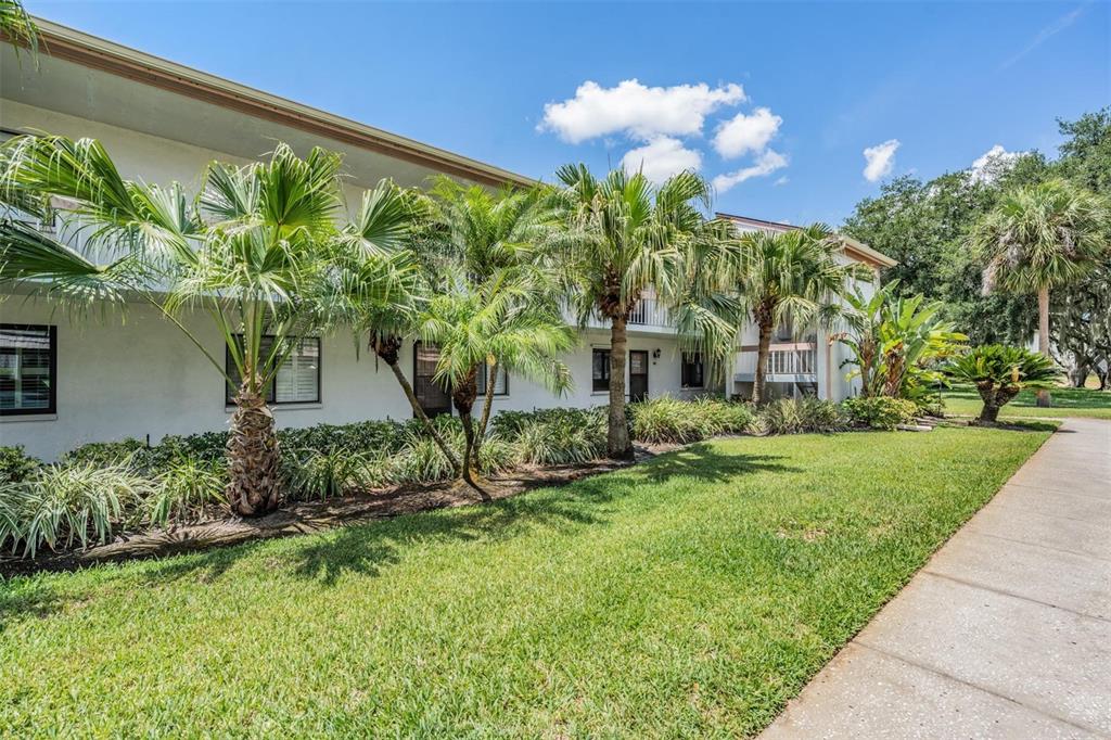 A two-story apartment building exterior features white walls, palm trees, and a concrete walkway — 112 LAKEVIEW PLACE UNIT 12, OLDSMAR, FL