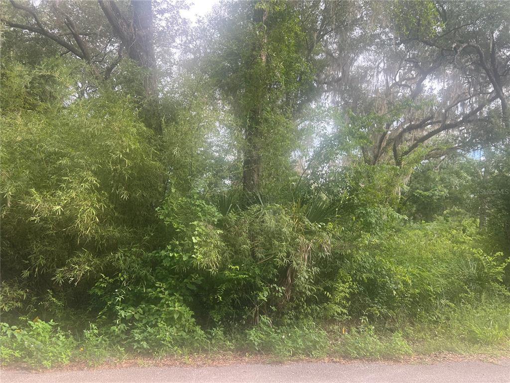 NE 32ND STREET