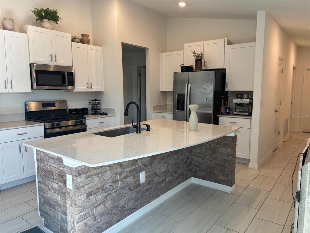 A kitchen features white cabinets, stainless steel appliances, and a stone-faced island with a sink — 22481 STORYBOOK CABIN WAY, LAND O LAKES, FL