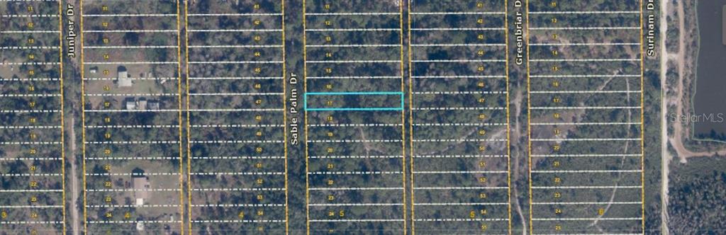 This aerial map shows a highlighted rectangular land parcel located between two residential streets — 1039 SABLE PALM DRIVE, CHRISTMAS, FL