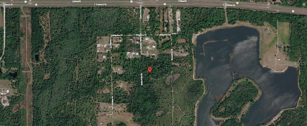 This is an aerial map view showing a wooded lot marked with a red pin — 1039 SABLE PALM DRIVE, CHRISTMAS, FL