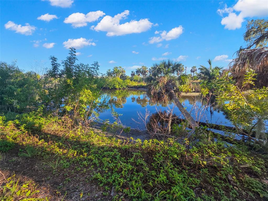 A view of a small pond surrounded by lush green vegetation and palm trees — 9511 RIVER COVE DRIVE, RIVERVIEW, FL