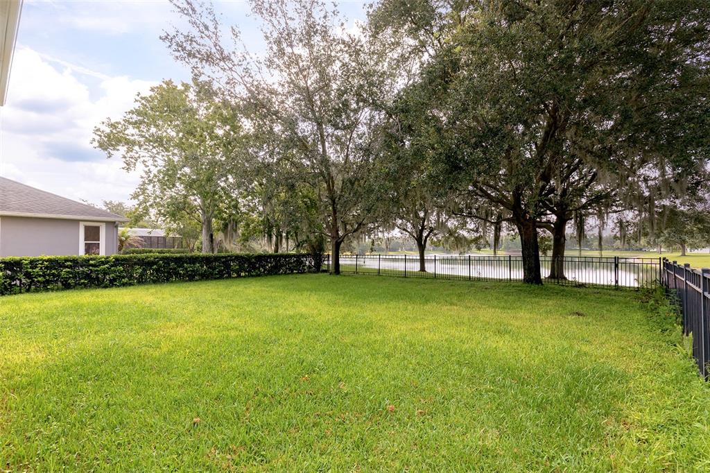A grassy backyard features a black metal fence, mature trees, and a view of a lake — 13844 AMELIA POND DRIVE, WINDERMERE, FL