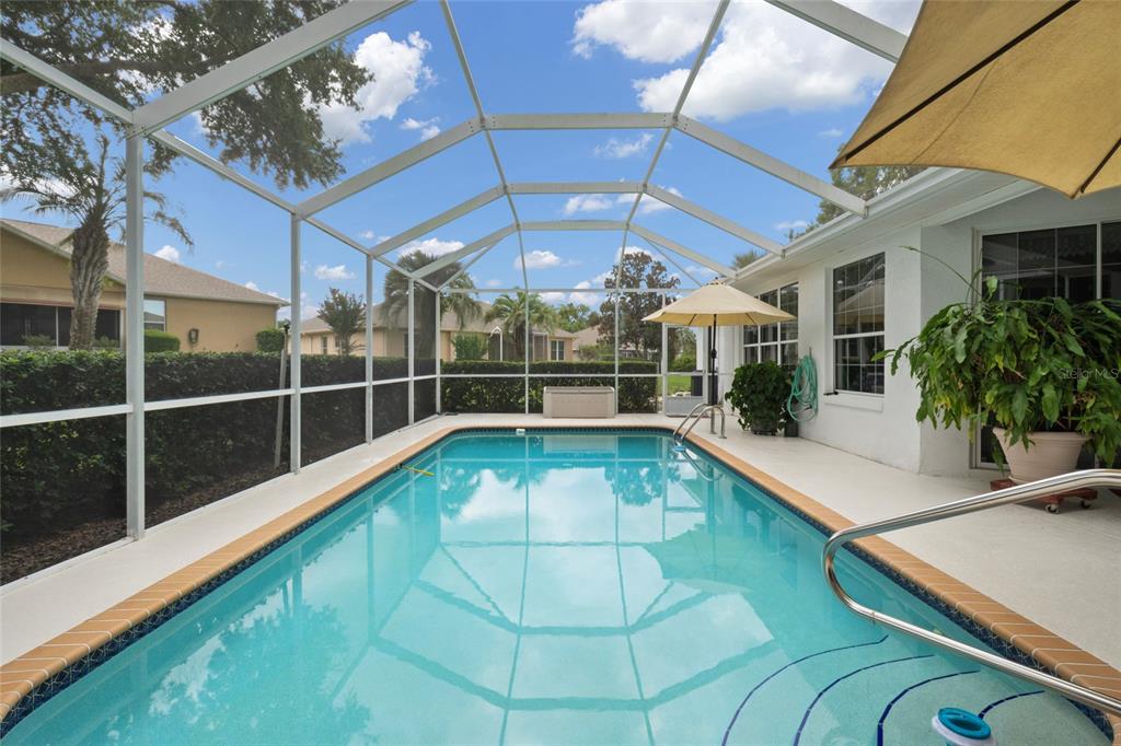 A rectangular swimming pool is enclosed by a screened lanai with a white frame — 365 W BARCLAY COURT, BEVERLY HILLS, FL