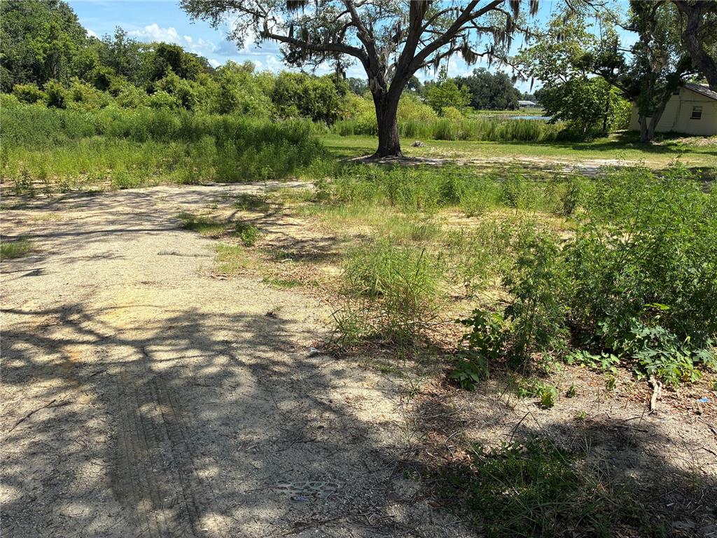 A sandy, partially cleared lot features a large tree and scattered vegetation under a blue sky — 2106 S SOUTH STREET, LEESBURG, FL