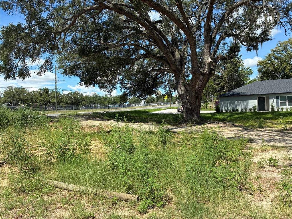 A large oak tree stands on a grassy lot next to a single-story house — 2106 S SOUTH STREET, LEESBURG, FL