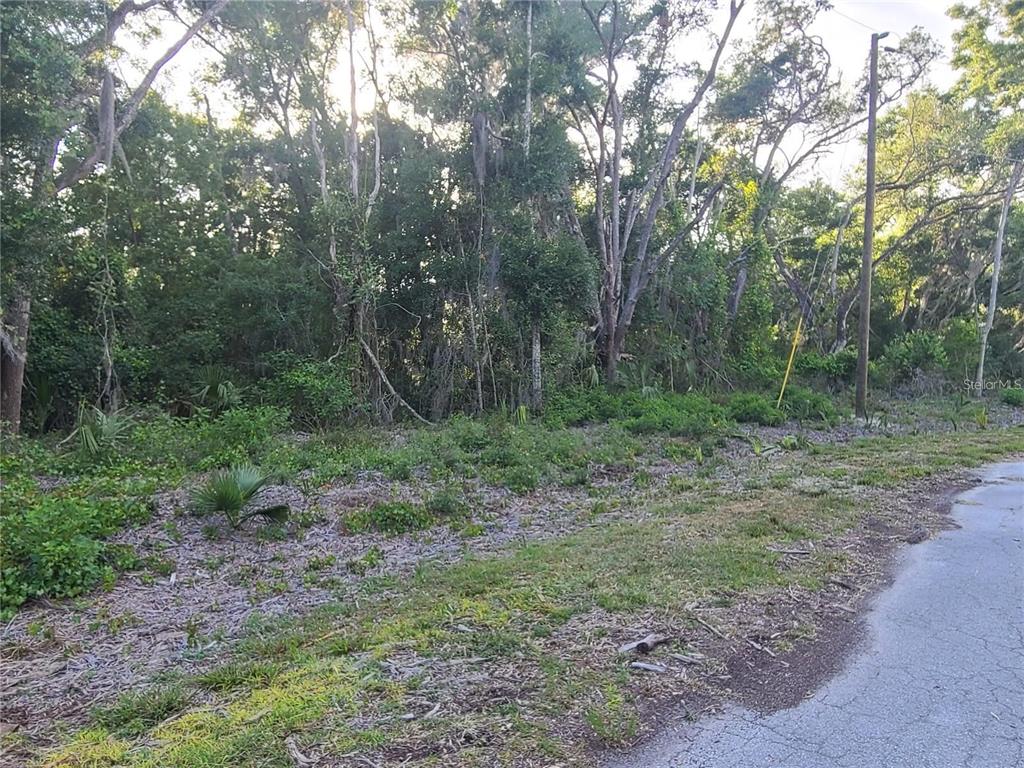 9840 N SNOWBALL POINT, CRYSTAL RIVER, FL — photo 3 of 16