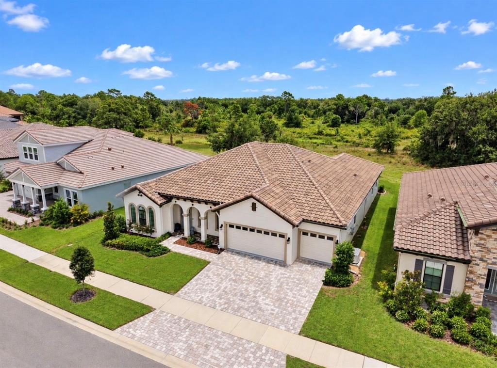 14537 SWISS BRIDGE DRIVE, LITHIA, FL — photo 3 of 30