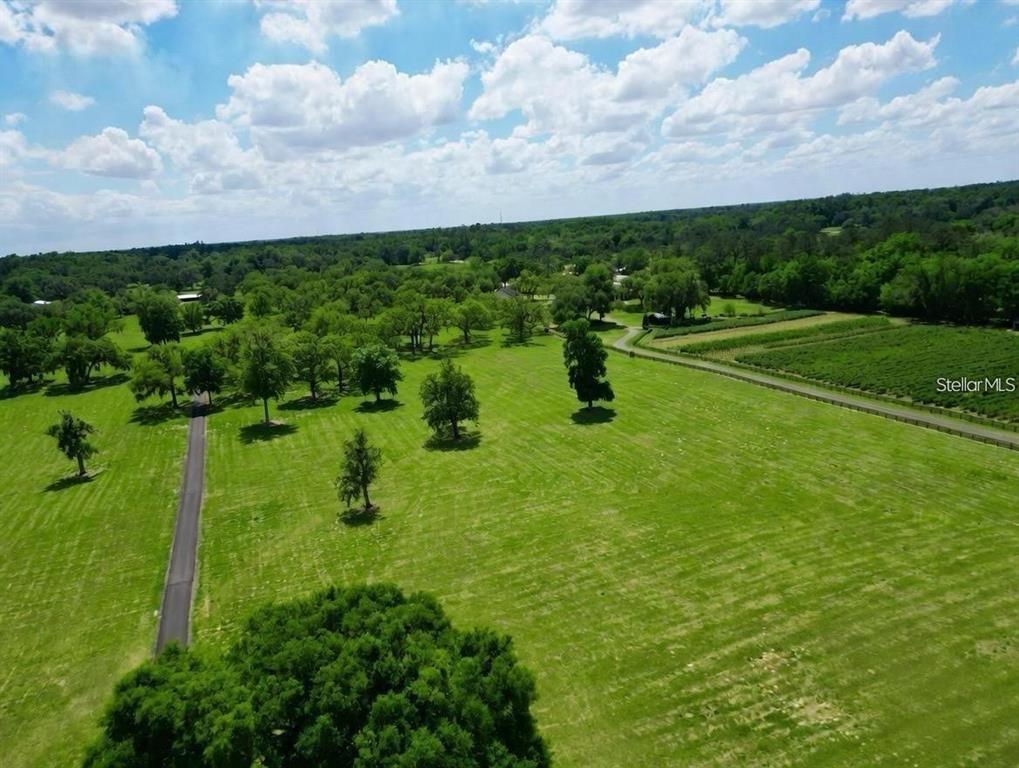 4 LOTS SE 115TH STREET, BELLEVIEW, FL — photo 2 of 13
