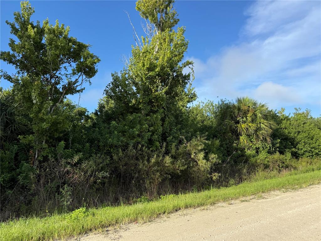 A dirt road runs alongside a dense, wooded lot with tall trees and thick vegetation — 720 SHADY HALLOW BOULEVARD W, NAPLES, FL