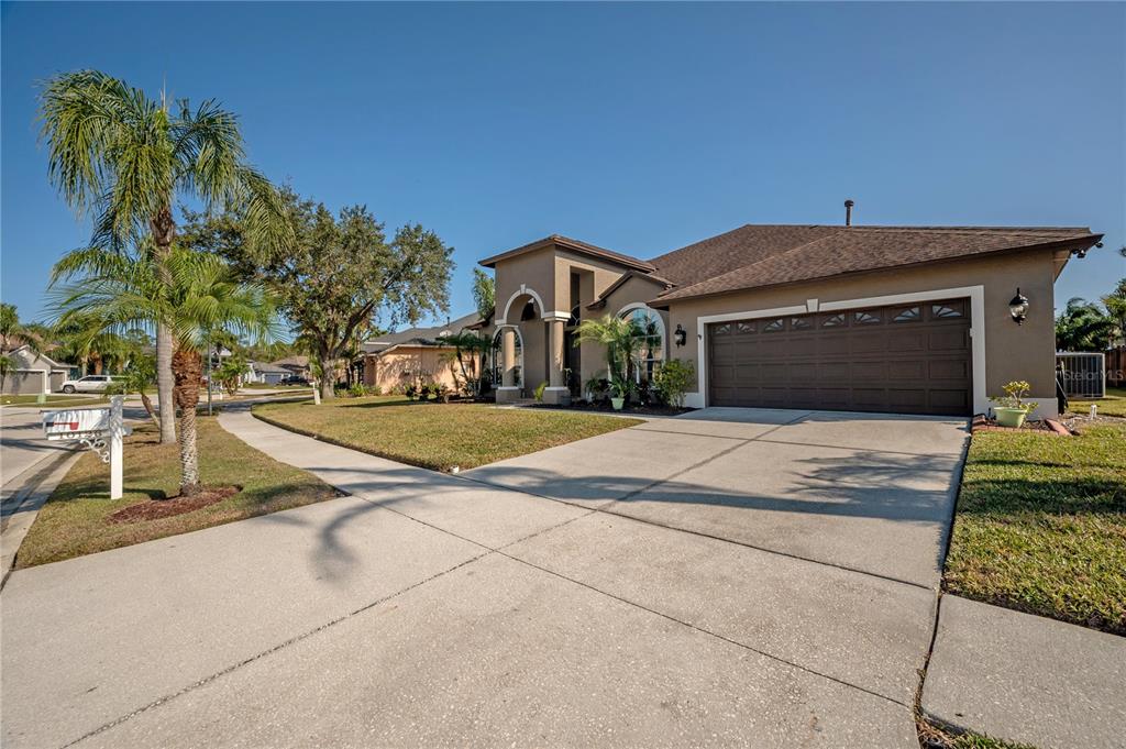 A single-story house with a brown garage door, tan stucco exterior, and a palm tree — 10126 LONDONSHIRE LANE, TAMPA, FL