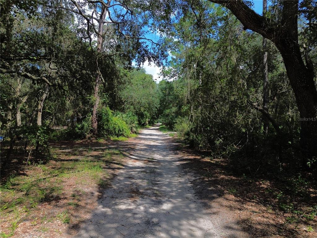 6870 NE 192ND PLACE, CITRA, FL — photo 2 of 4
