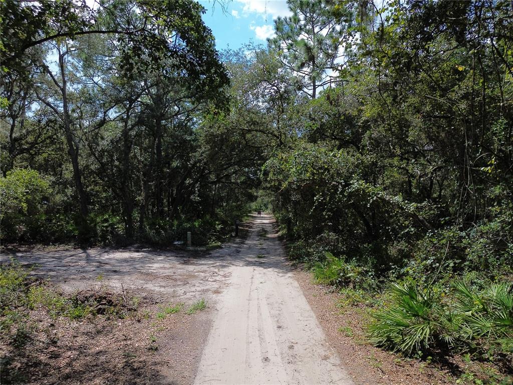 6870 NE 192ND PLACE, CITRA, FL — photo 3 of 4