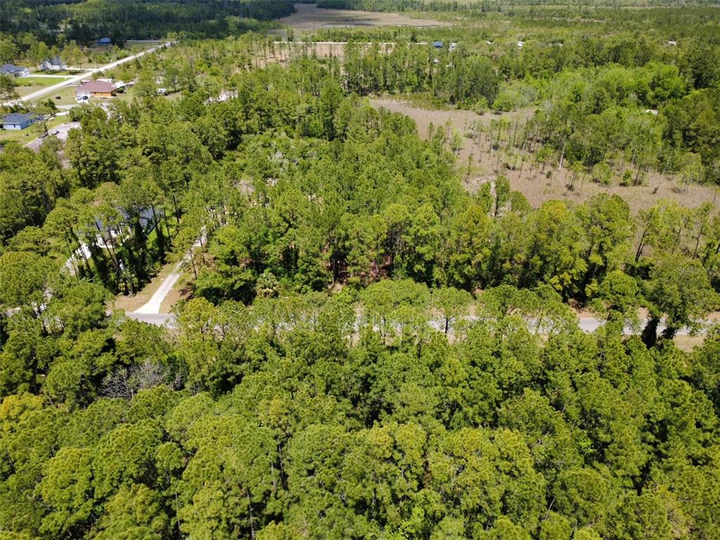 An aerial view shows a wooded lot with a paved road running through the trees — APRICOT AVENUE, EUSTIS, FL