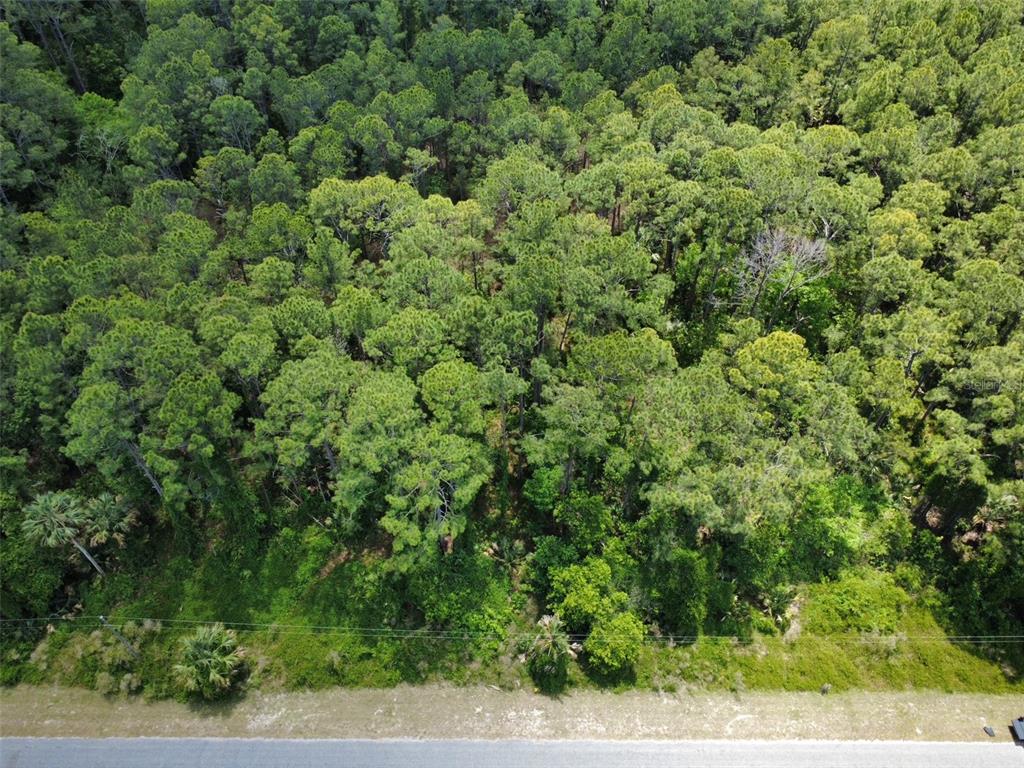 An aerial view shows a wooded lot bordering a paved road with utility lines — APRICOT AVENUE, EUSTIS, FL