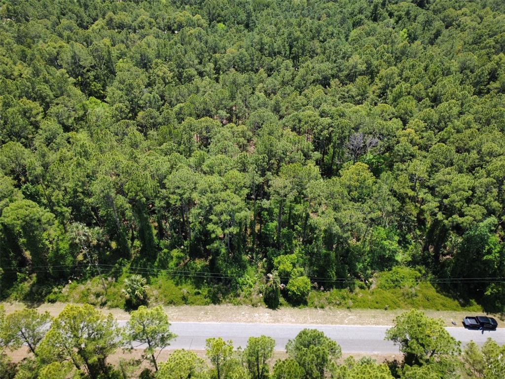 An aerial view shows a paved road running alongside a dense, wooded forest area — APRICOT AVENUE, EUSTIS, FL