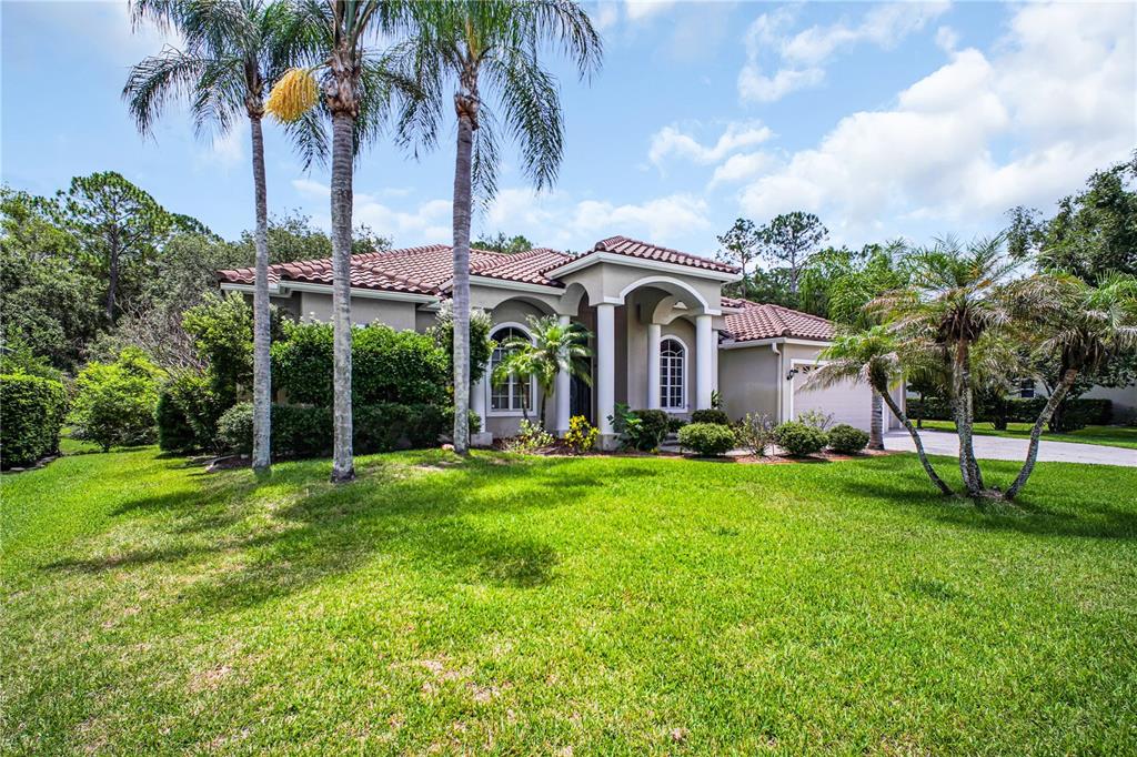 A single-story house with a tiled roof, arched entryway, and palm trees on a lawn — 4931 TURTLE CREEK TRAIL, OLDSMAR, FL