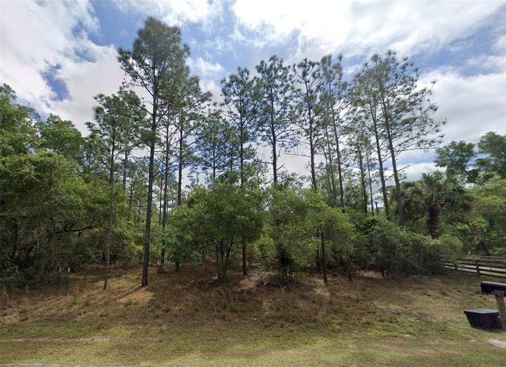 A wooded lot with tall pine trees and dense undergrowth under a cloudy sky — Lot 1 NE 127TH STREET, FORT MC COY, FL