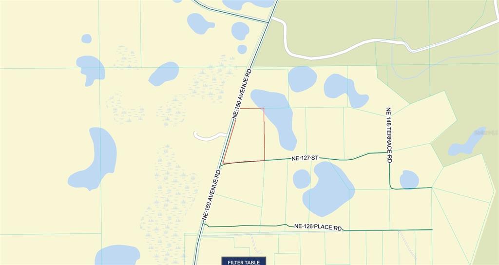A wooded lot featuring mature trees, palmettos, and a ground covered in pine needles — Lot 1 NE 127TH STREET, FORT MC COY, FL
