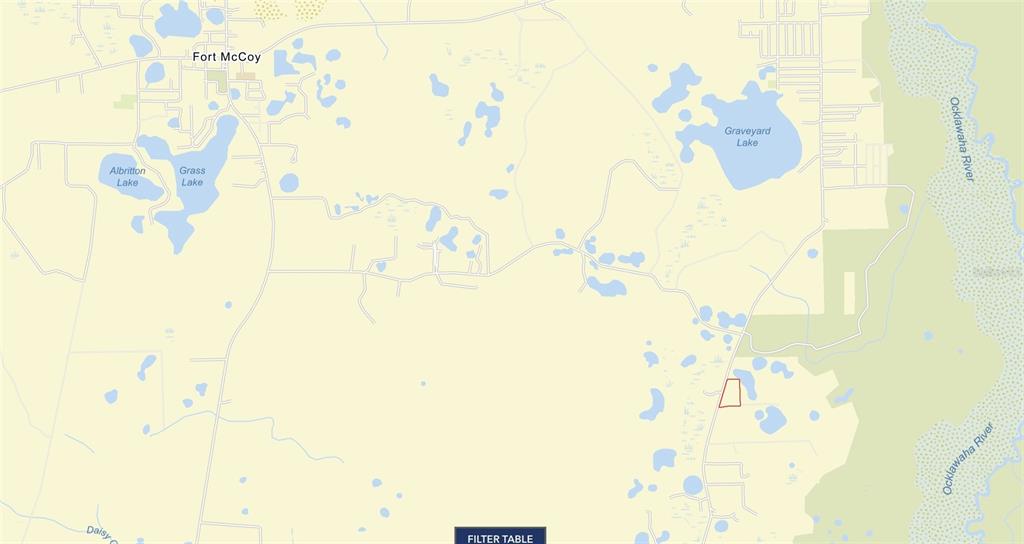 A large, mature oak tree stands in a wooded area with palm trees and leaf litter — Lot 1 NE 127TH STREET, FORT MC COY, FL