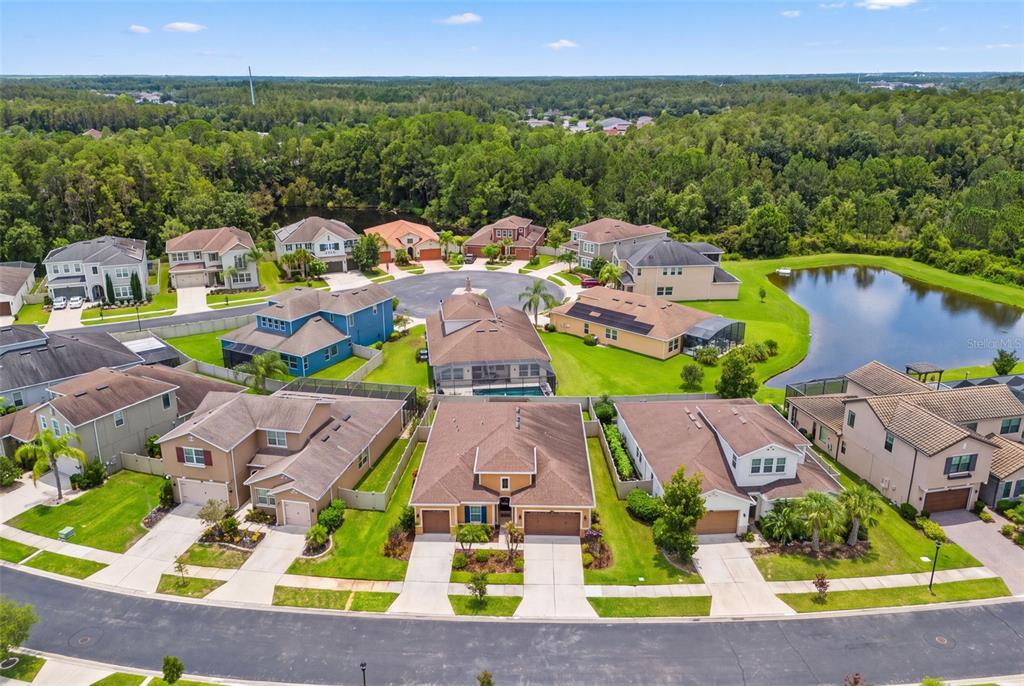 An aerial view shows a suburban neighborhood with houses, lawns, and a small pond — 1723 WHITEWILLOW DRIVE, WESLEY CHAPEL, FL