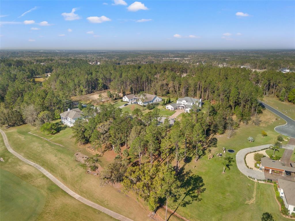 20132 ENGLISH WALNUT PLACE, BROOKSVILLE, FL — photo 3 of 22