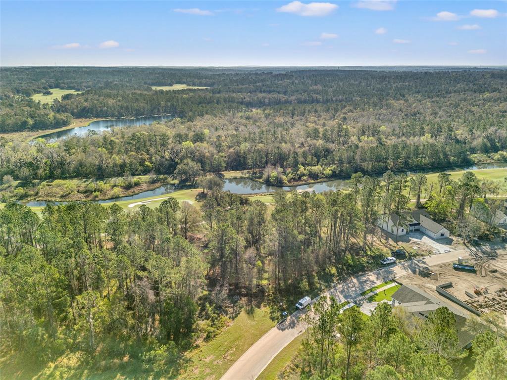 20132 ENGLISH WALNUT PLACE, BROOKSVILLE, FL — photo 5 of 22