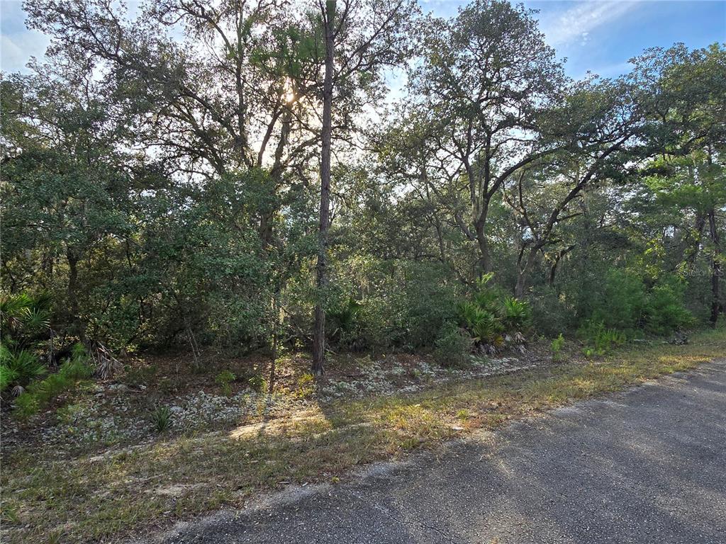 FISHER WAY, OCKLAWAHA, FL — photo 4 of 13