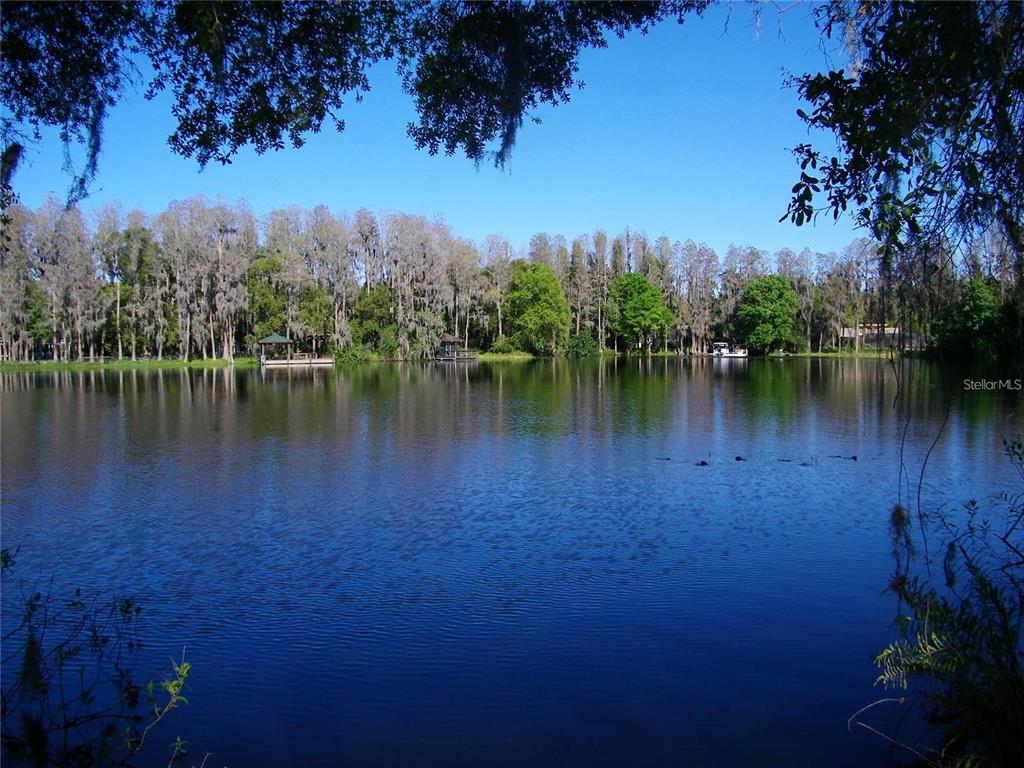 A calm lake is framed by overhanging trees with a distant shoreline and small docks — 17017 PAULA LANE, LUTZ, FL