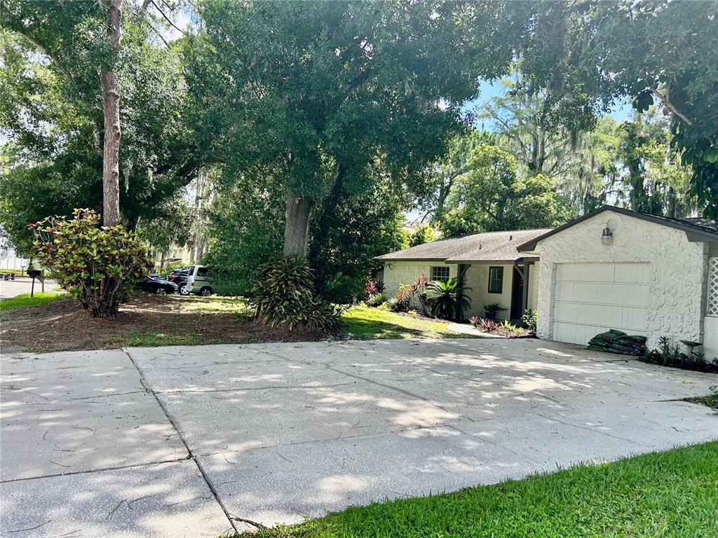 A concrete driveway leads to the front of a single-story house with a white garage — 17017 PAULA LANE, LUTZ, FL