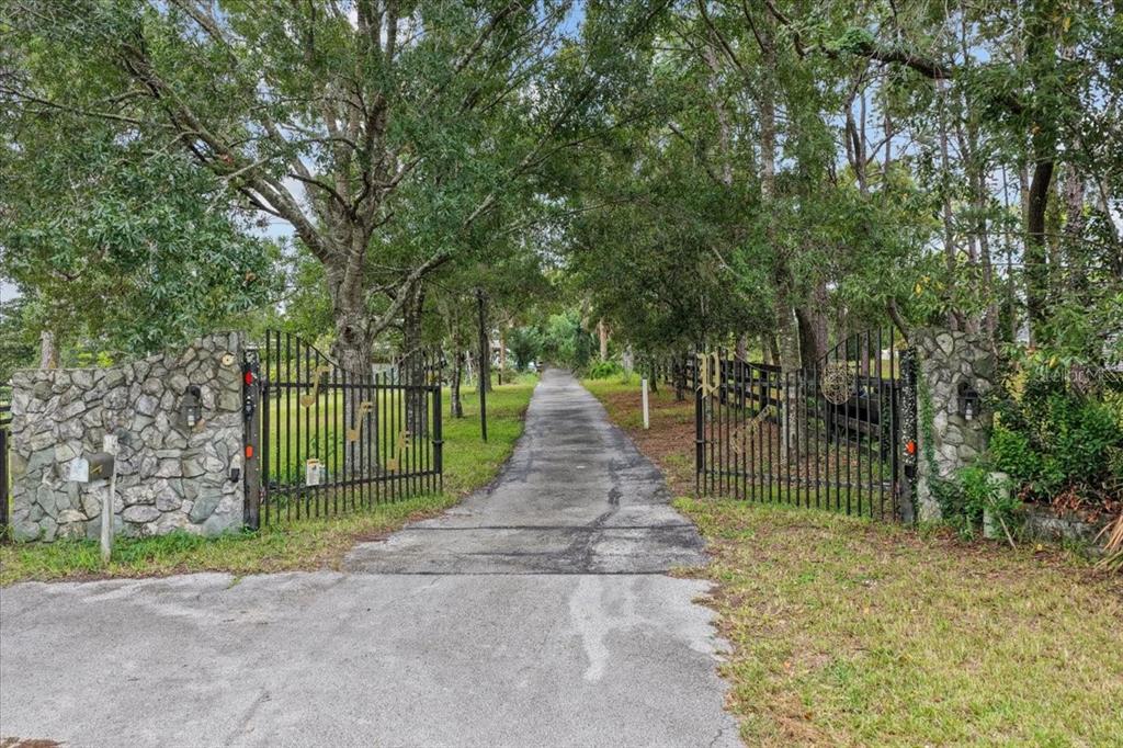 A view of a grassy field with a cow, framed by trees and blooming azaleas — 470 FAY AVENUE, SPRING HILL, FL