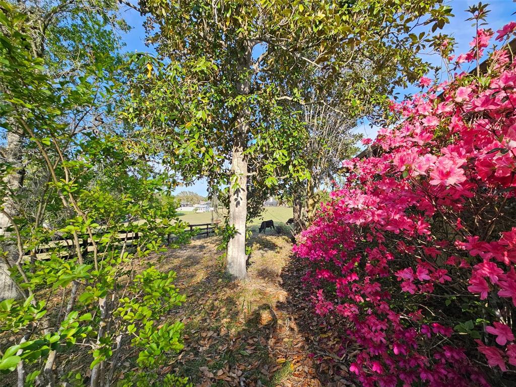 A gravel driveway leads to a house with a pool, shed, and covered boat storage — 470 FAY AVENUE, SPRING HILL, FL