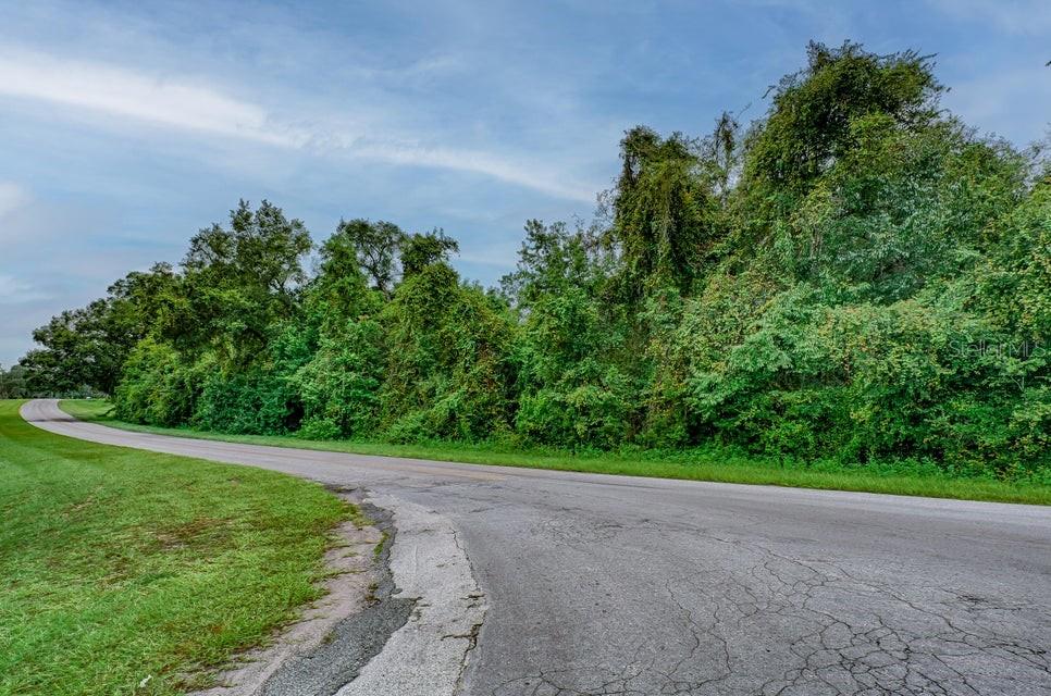 A paved road curves past a dense line of trees and green vegetation — SE 9TH AVENUE, STARKE, FL