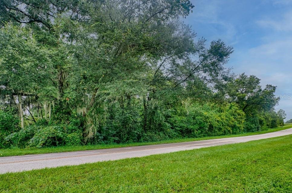 A paved road runs alongside a dense line of trees and green vegetation — SE 9TH AVENUE, STARKE, FL