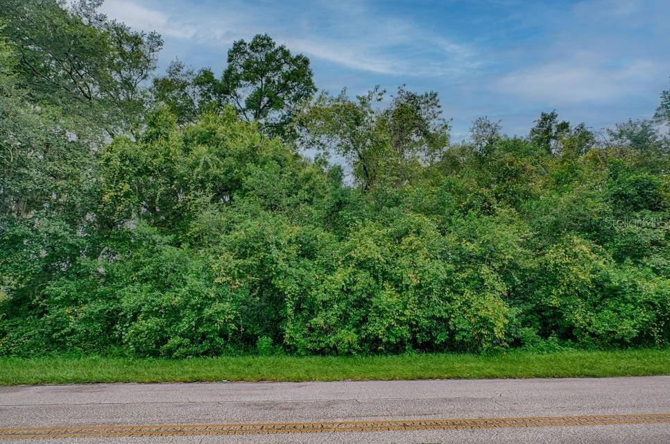 A paved road runs in front of a dense, wooded lot with mature trees — SE 9TH AVENUE, STARKE, FL