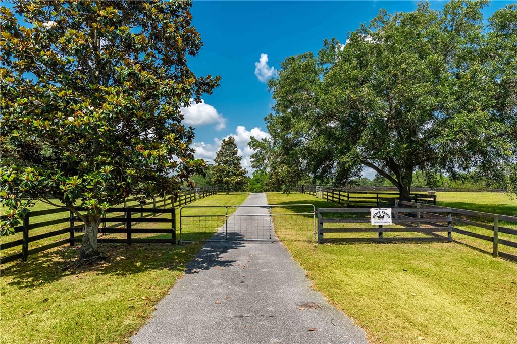 A paved driveway leads through a metal gate between fenced pastures and large shade trees — 3670 SE 148TH TERRACE, MORRISTON, FL