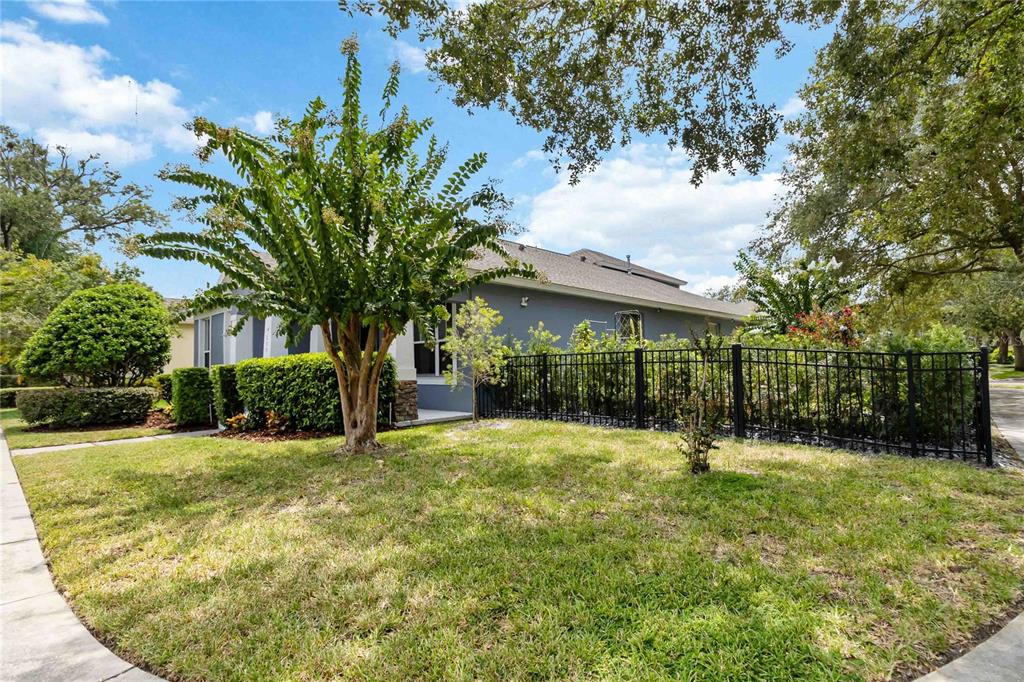 A side view of a house with a fenced yard, a lawn, and a small tree — 880 SUMMER OAKS ROAD, WINTER GARDEN, FL