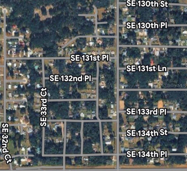 SE 131 PLACE, BELLEVIEW, FL — photo 3 of 4