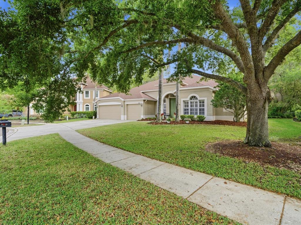 A single-story house with a two-car garage and a large oak tree in the yard — 18931 CHAVILLE ROAD, LUTZ, FL