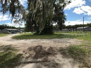 A dirt driveway leads toward a large tree with Spanish moss and distant residential buildings — 1605 ROSE LANE, EUSTIS, FL