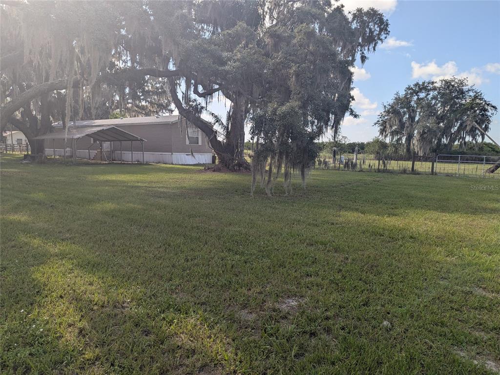 A mobile home sits on a grassy lot shaded by large, moss-covered oak trees — 3193 NE DAVIS STREET, ARCADIA, FL