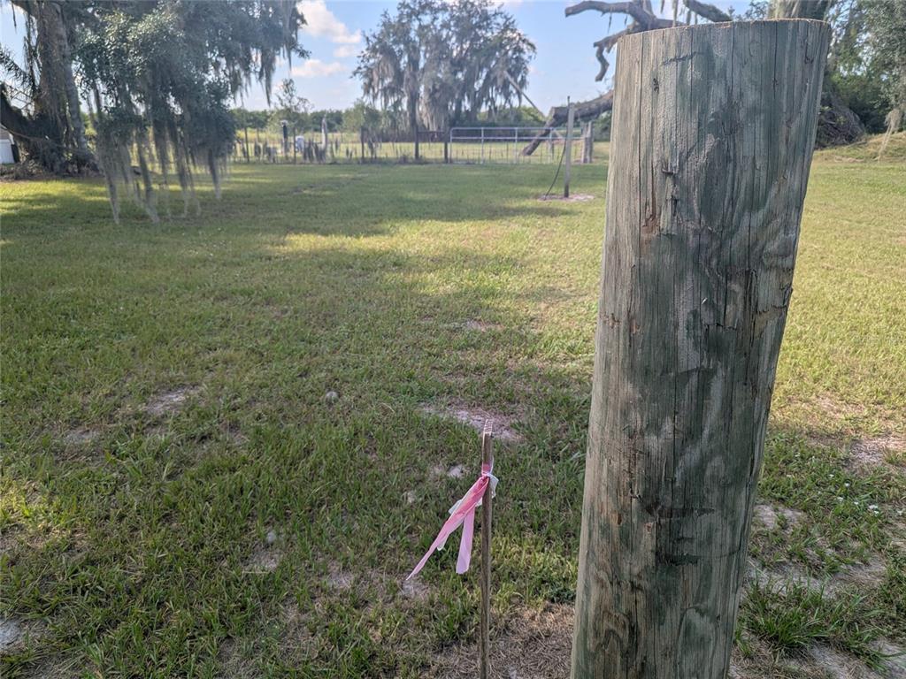 A wooden post and a small stake with pink ribbon stand in a grassy field — 3193 NE DAVIS STREET, ARCADIA, FL