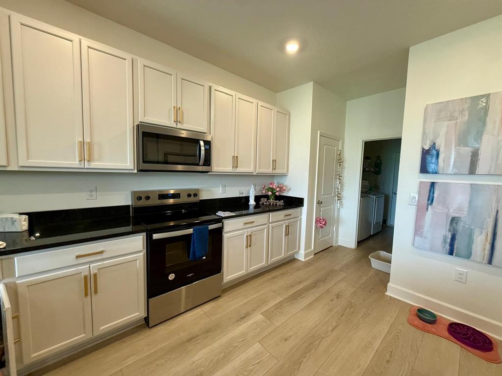 A kitchen features white cabinets, black countertops, stainless steel appliances, and light wood-look flooring — 16522 BROOK ISLE WAY, CLERMONT, FL