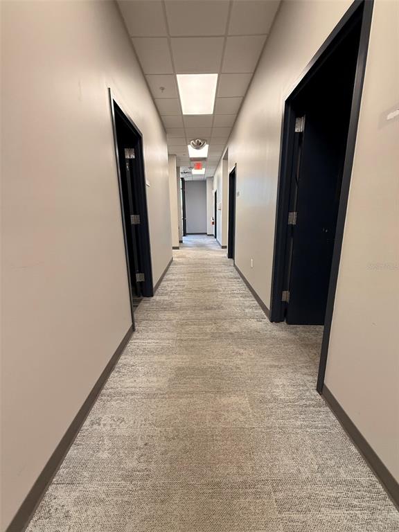 A long office hallway features gray carpet, beige walls, and several dark-framed doorways — 13859 PROGRESS BOULEVARD UNIT 200, ALACHUA, FL