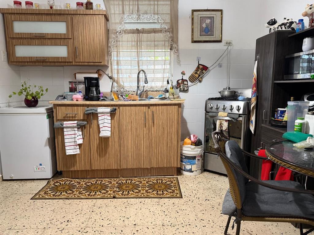 A kitchen features wood-grain cabinets, a stainless steel stove, a sink, and a patterned rug — Carr. 10 BO. HATO VIEJO, ARECIBO, PR