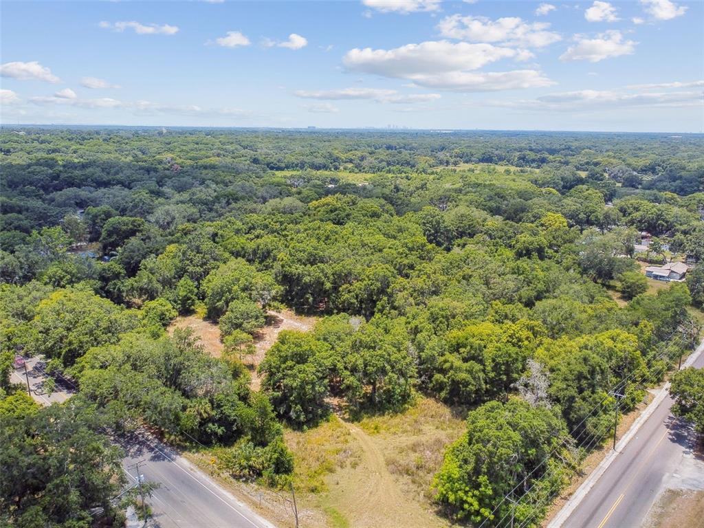 An aerial view shows a wooded lot situated between two paved roads — 10413 MAIN STREET, THONOTOSASSA, FL