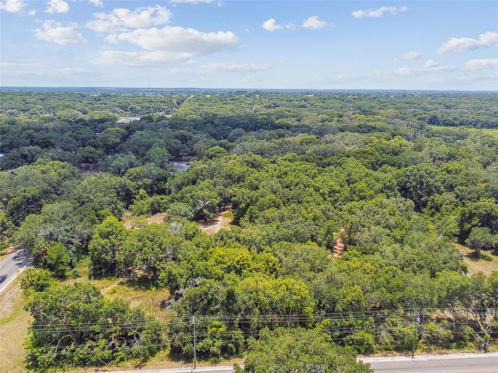 An aerial view shows a large, wooded plot of land bordered by two paved roads — 10413 MAIN STREET, THONOTOSASSA, FL