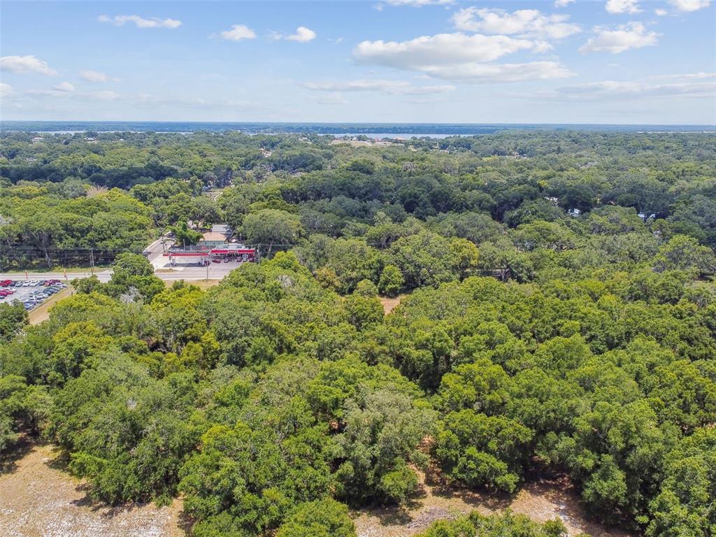 An aerial view shows a dense forest area next to a road and commercial building — 10413 MAIN STREET, THONOTOSASSA, FL
